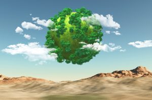 Carbon Credit Tokenization: A New Hope for Reducing Global Emissions