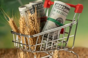 The Impact of Commodity Tokenization on Global Trade Finance