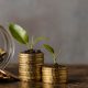 Understanding Real World Asset (RWA) Tokenization