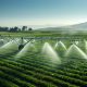 How Agricultural Tokenization Can Lead to a Greener Planet