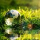 Exploring the Benefits and Challenges of Tokenizing Natural Resources