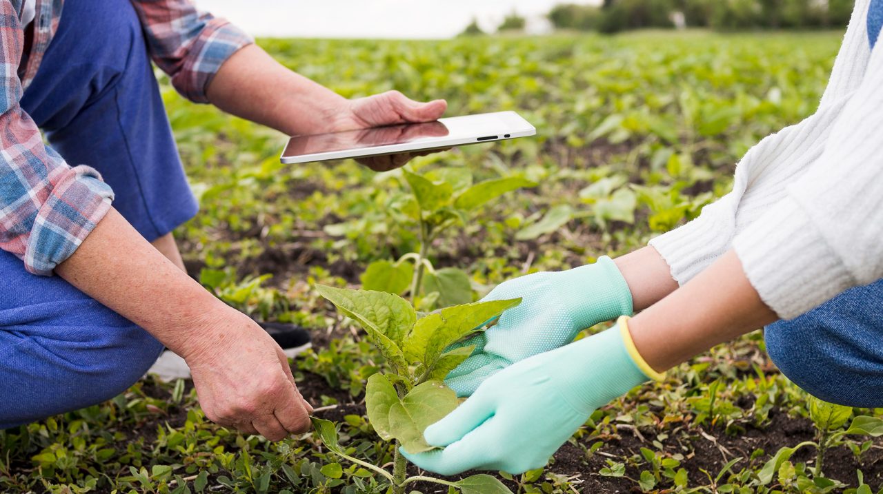 Revolutionizing Commodity Markets with Tokenization: An Overview